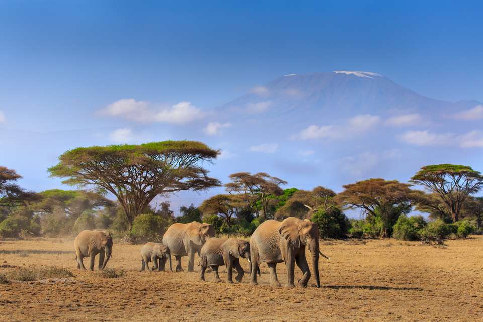 Serengeti & Kilimanjaro - Intrepid Travel - Kenya - Image 1