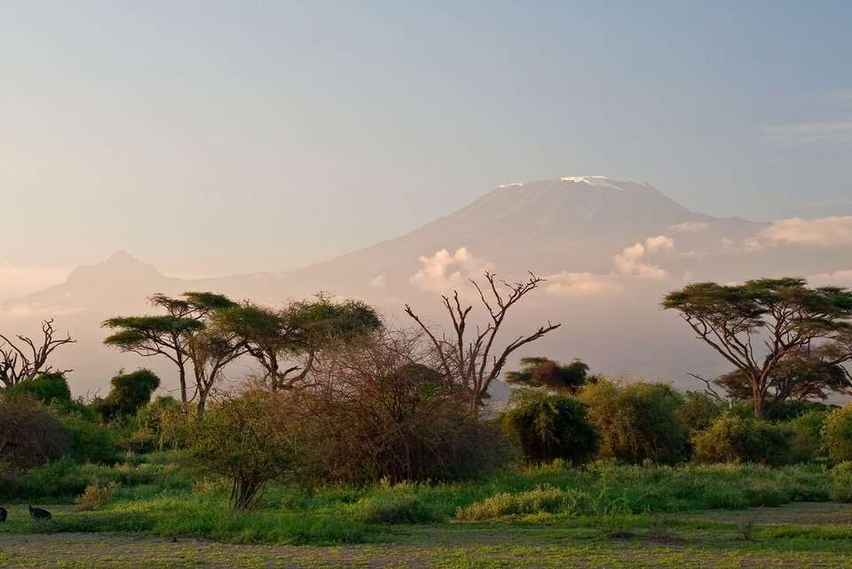 Serengeti & Kilimanjaro - Intrepid Travel - Kenya - Image 8