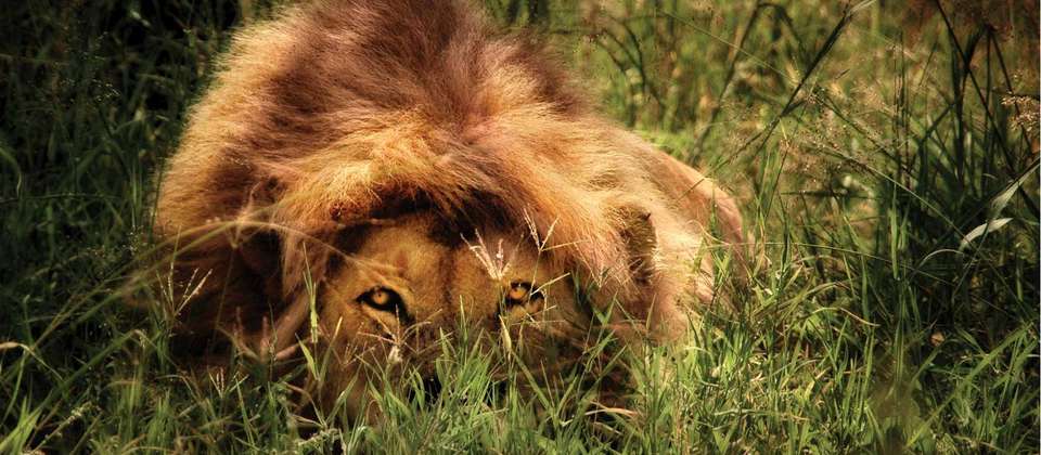 Serengeti Explorer - World Expeditions - Tanzania - Image 3