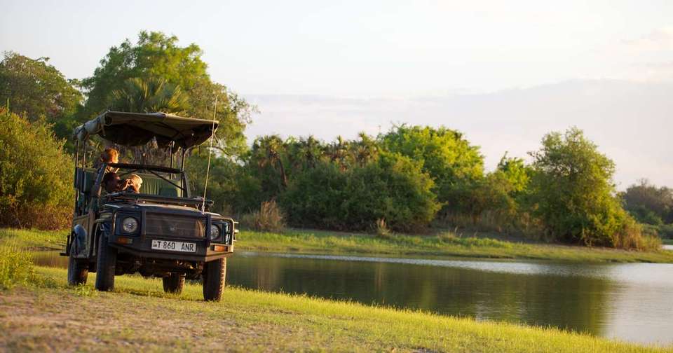 Serengeti Wildlife Experience - Explore - Tanzania - Image 2