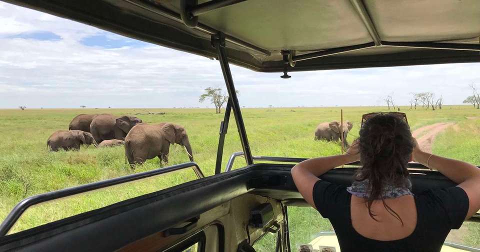Serengeti Wildlife Experience - Explore - Tanzania - Image 8