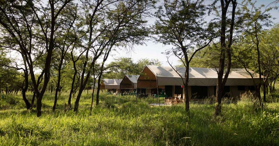 Serengeti Wildlife Experience - Explore - Tanzania - Image 10