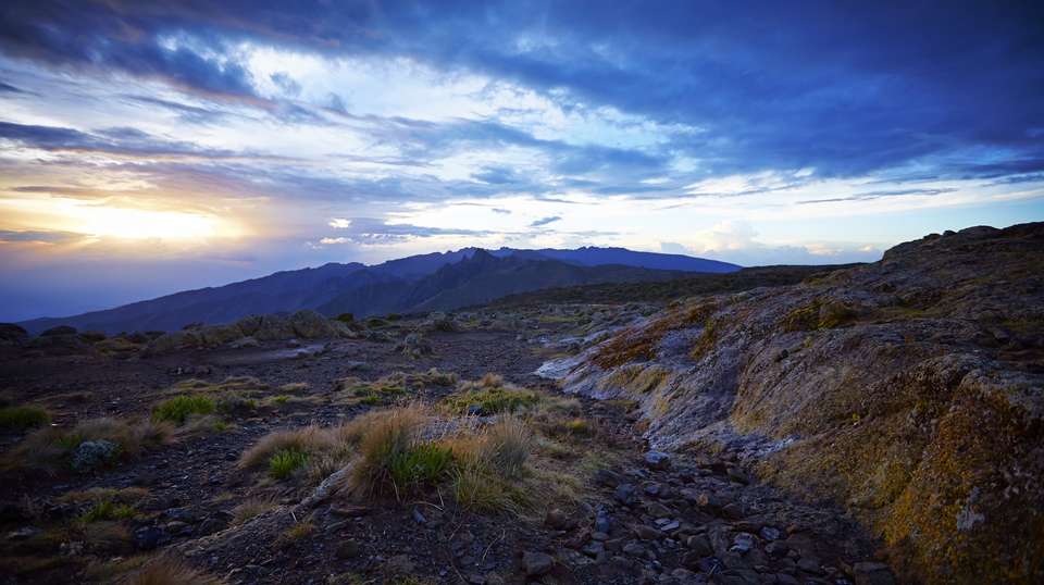 Seven-Day Kilimanjaro Climb: Machame Route  - Kilisa Tours & Safaris - Tanzania - Image 2