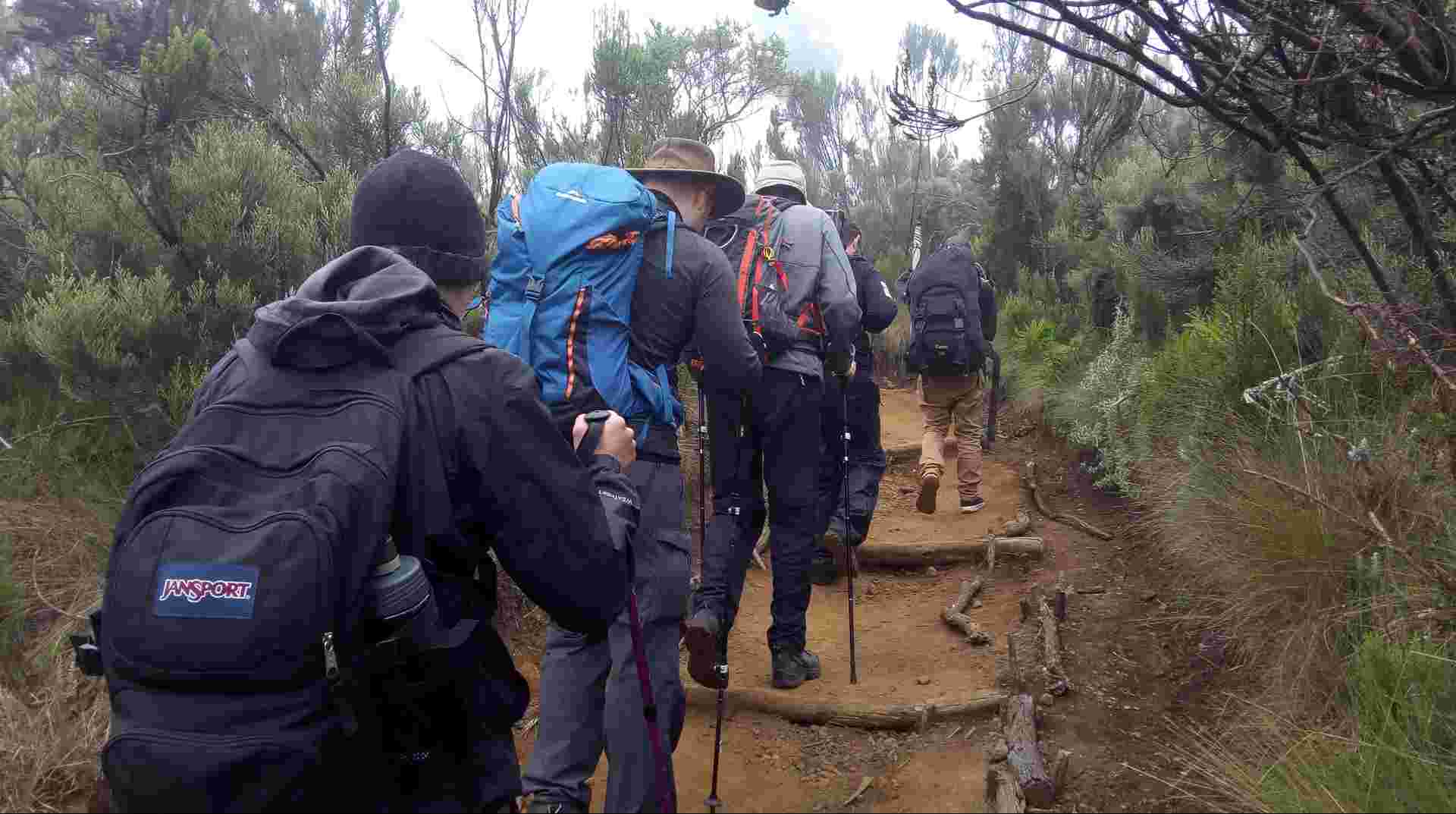Seven-Day Kilimanjaro Climb: Shira Route