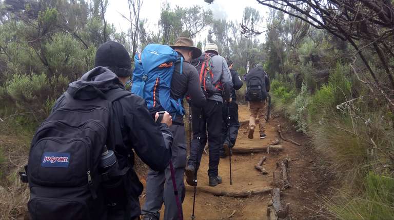 Seven-Day Kilimanjaro Climb: Shira Route trip - alternative tour available