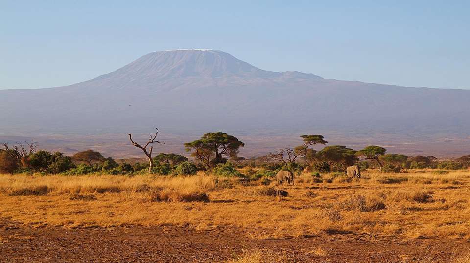 Seven Day Lemosho Route - Habari Adventure - Tanzania - Image 3