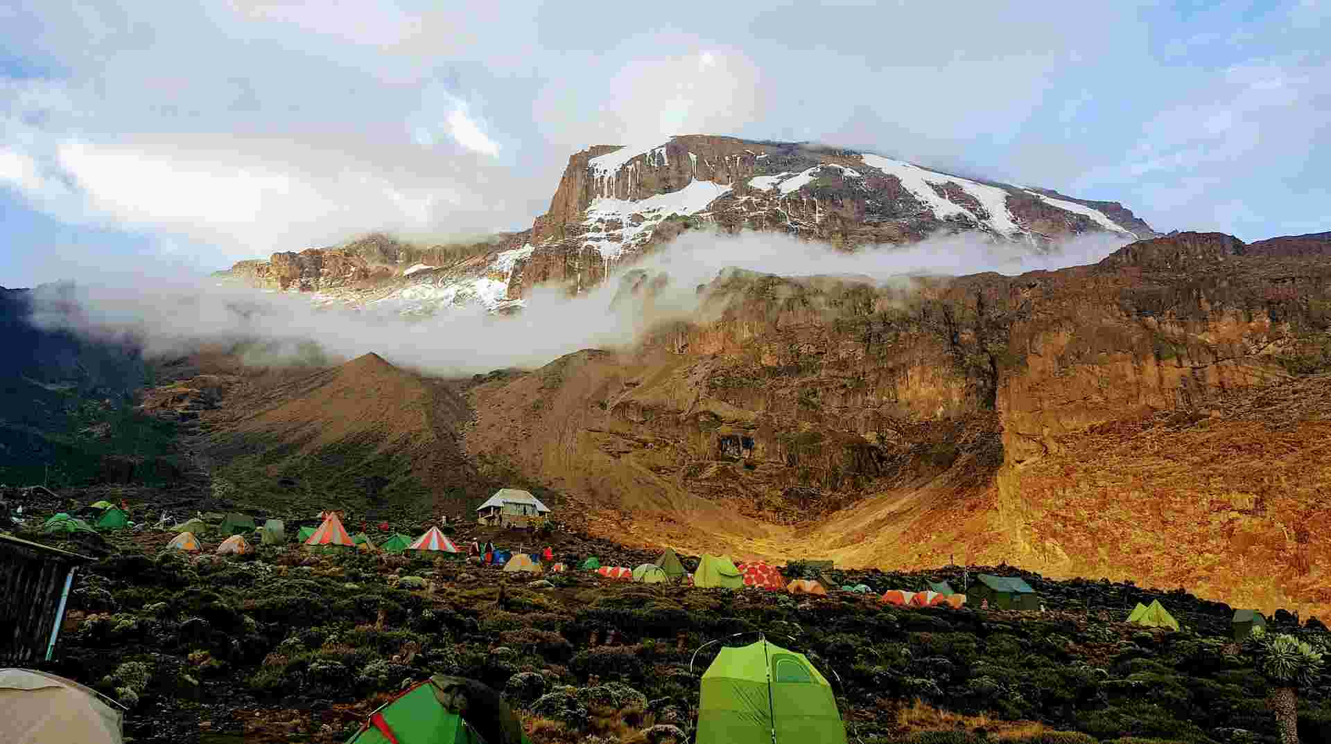 Seven-Day Mount Kilimanjaro Climb: Lemosho Route
