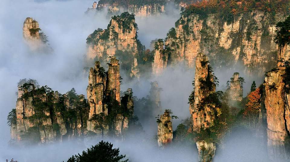 Seven-Day Private Tour to Beijing and Zhangjiajie - Travel China Guide - China - Image 4