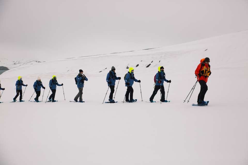 Shackleton's Falklands, South Georgia and Antarctica Expedition (Ocean Endeavour) - undefined - Image 3