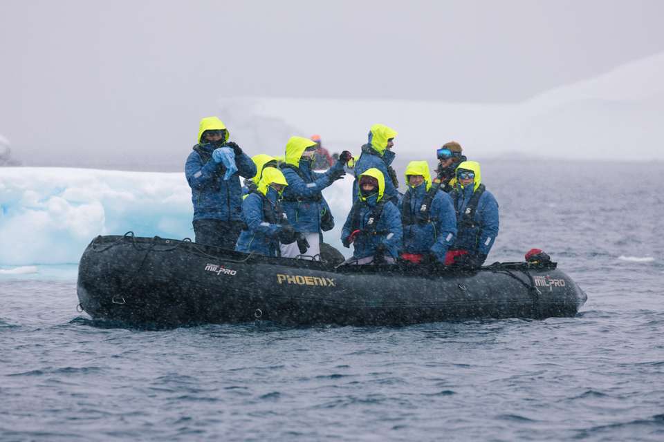 Shackleton's Falklands, South Georgia and Antarctica Expedition (Ocean Endeavour) - undefined - Image 7