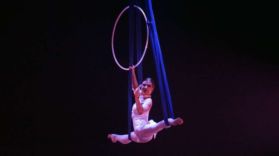 Shanghai Acrobatic Show and Authentic Dim Sum - Shanghai Advisor Tour - China - Image 2