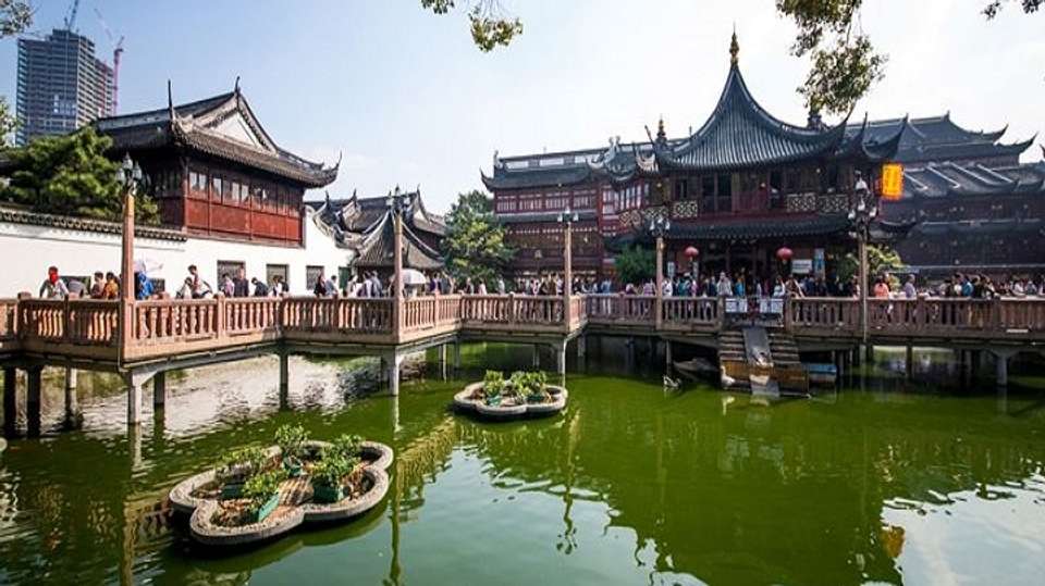 Shanghai Late afternoon Sichuan lifestyle experience - Shanghai Advisor Tour - China - Image 5
