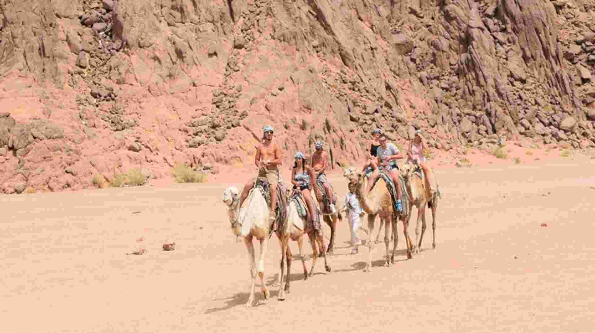 Sharm Desert Adventure: Five Experiences In One