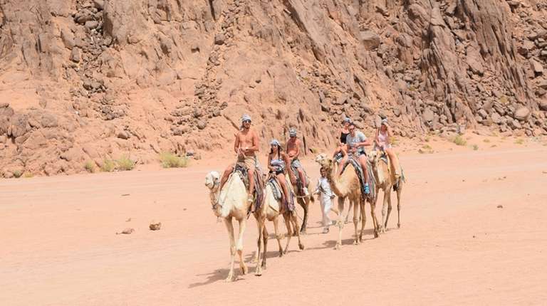 Sharm Desert Adventure: Five Experiences In One trip - alternative tour available