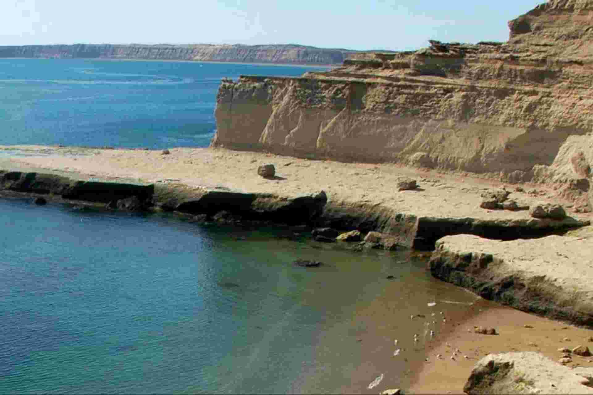 Shore Excursion: Peninsula Valdes Day Trip