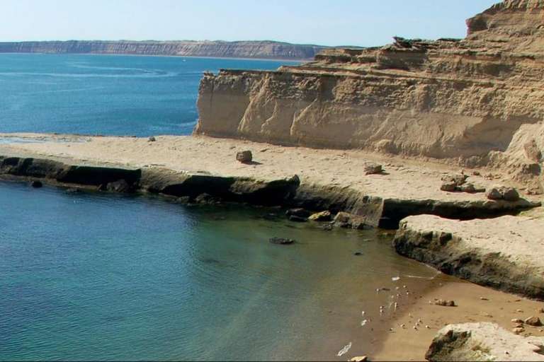 Shore Excursion: Peninsula Valdes Day Trip trip - alternative tour available