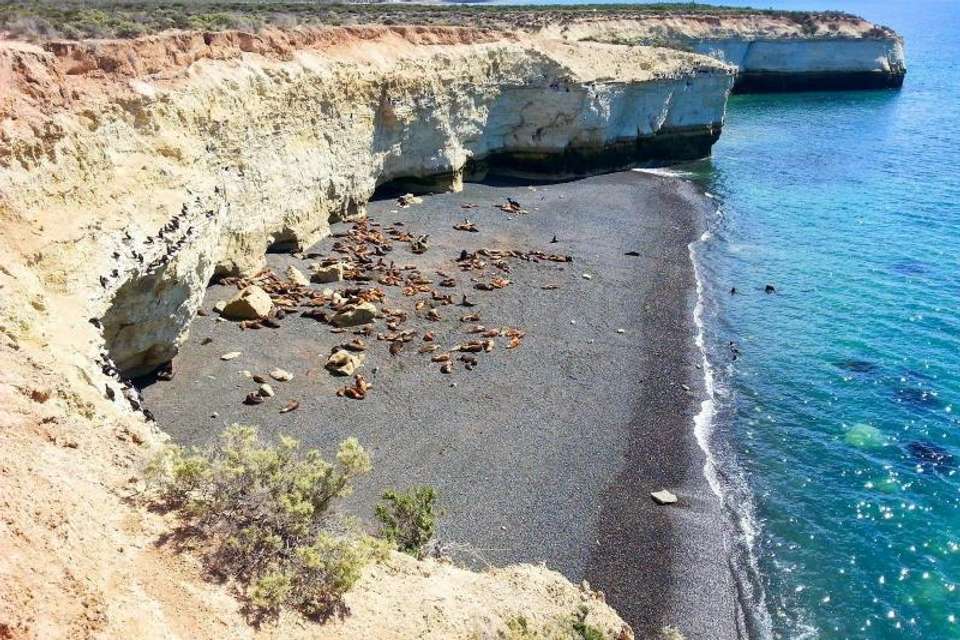 Shore Excursion: Puerto Madryn City Tour and Sea lions - Tangol Tours - Argentina - Image 2