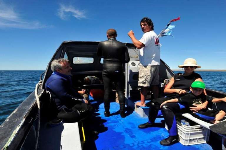 Shore Excursion: Snorkeling With Sea Lions In Puerto Madryn trip - alternative tour available