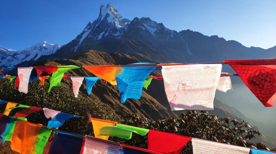 Short Mardi Himal Trek - Nepal Lion Tours And Treks Pvt Ltd - Nepal - Image 2