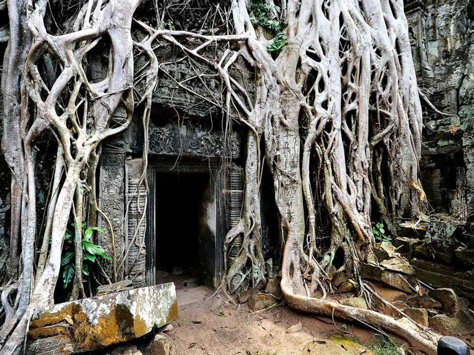 Siem Reap & Angkor Wat Group Tour Packages - Tweet World Travel - Cambodia - Image 4