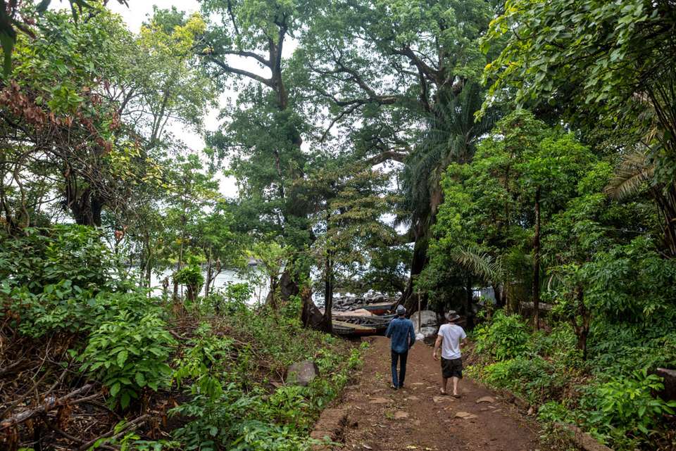 Sierra Leone Adventure: History, Culture & Nature - Intrepid Travel - Sierra leone - Image 21