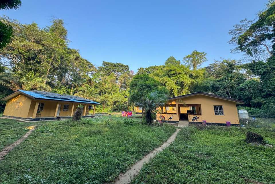 Sierra Leone Adventure: History, Culture & Nature - Intrepid Travel - Sierra leone - Image 15