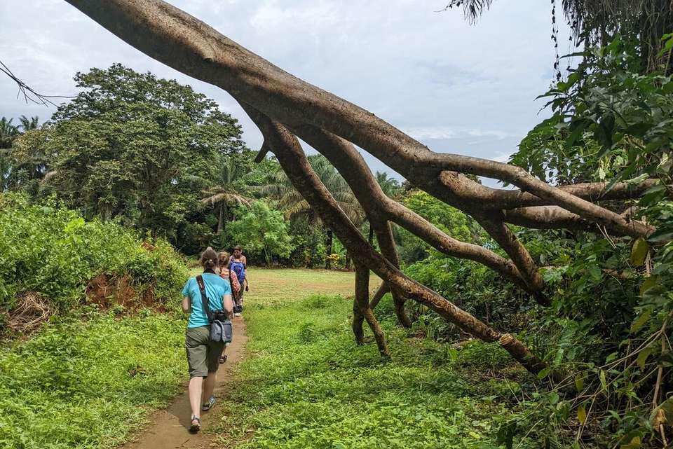 Sierra Leone Adventure: History, Culture & Nature - Intrepid Travel - Sierra leone - Image 5