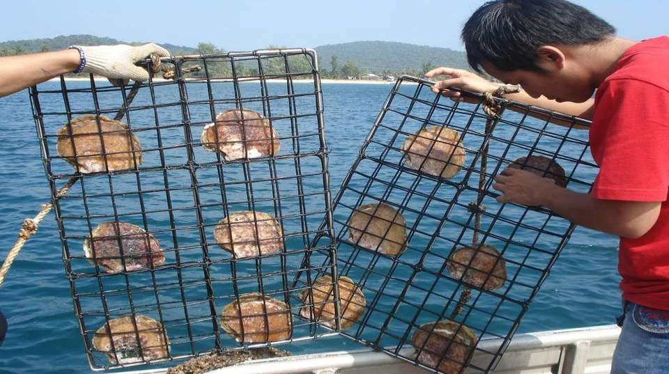 Sightseeing in South Phu Quoc - Phu Quoc Island Explorer - Vietnam - Image 3