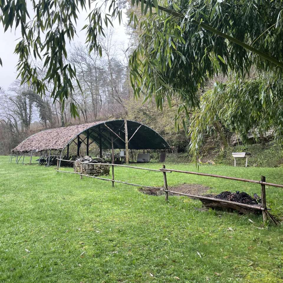 Image 2 of 8