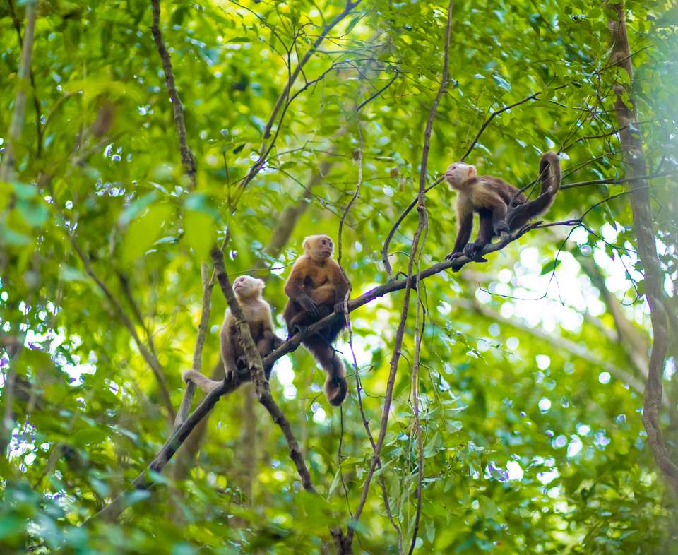Signature Colombia | Stories Beneath Wax Palms - Exodus Adventure Travels - Colombia - Image 11