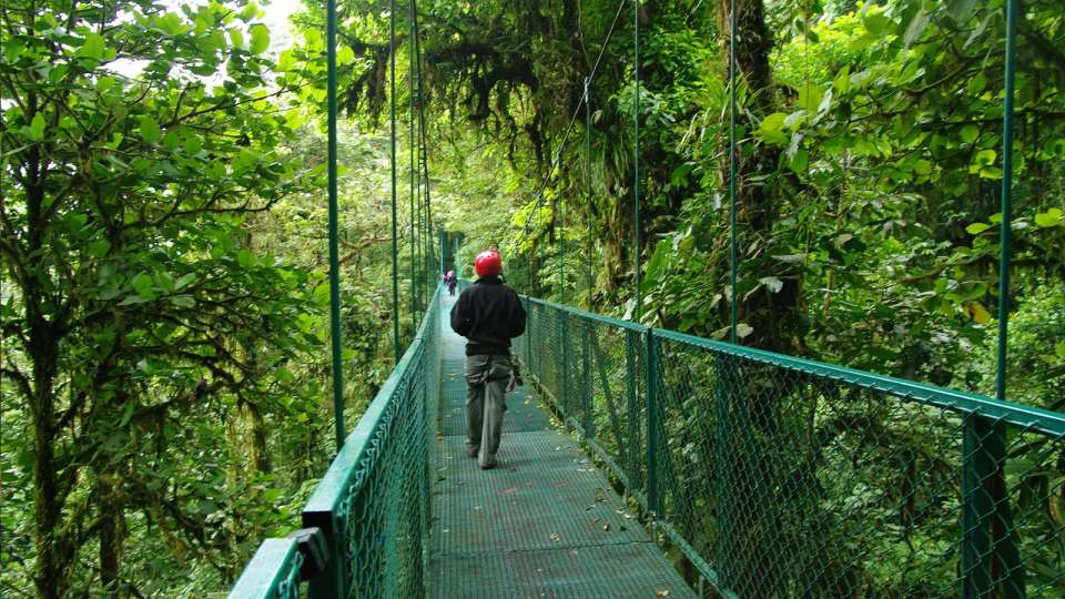 Signature: Costa Rica's Monteverde, Arenal & Guanacaste - G Adventures - Costa Rica - Image 8