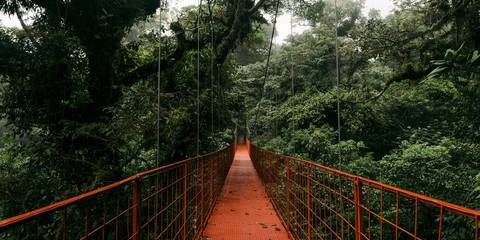 Signature: Costa Rica's Tortuguero, Arenal & Cloud Forests - February 2027