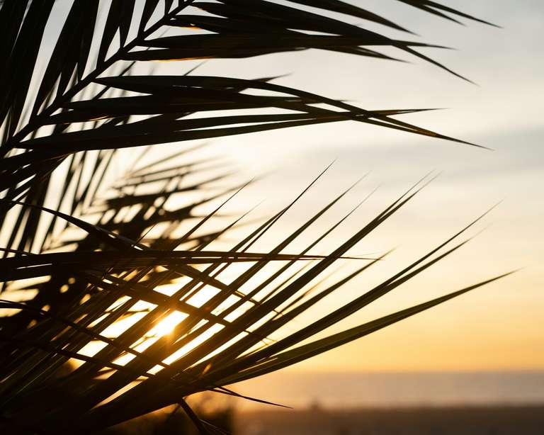 Signature Costa Rica | Where the Wild Answers