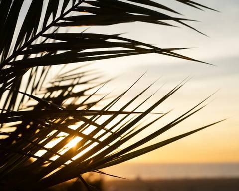 South America Travel Deals: Signature Costa Rica | Where The Wild Answers