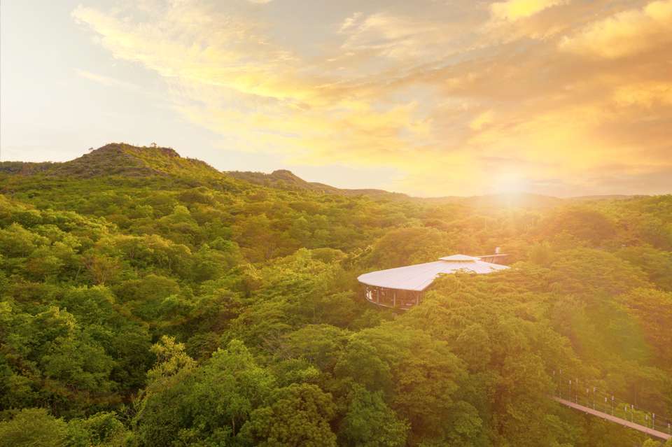 Signature Costa Rica | Where the Wild Answers - Exodus Adventure Travels - Costa Rica - Image 17