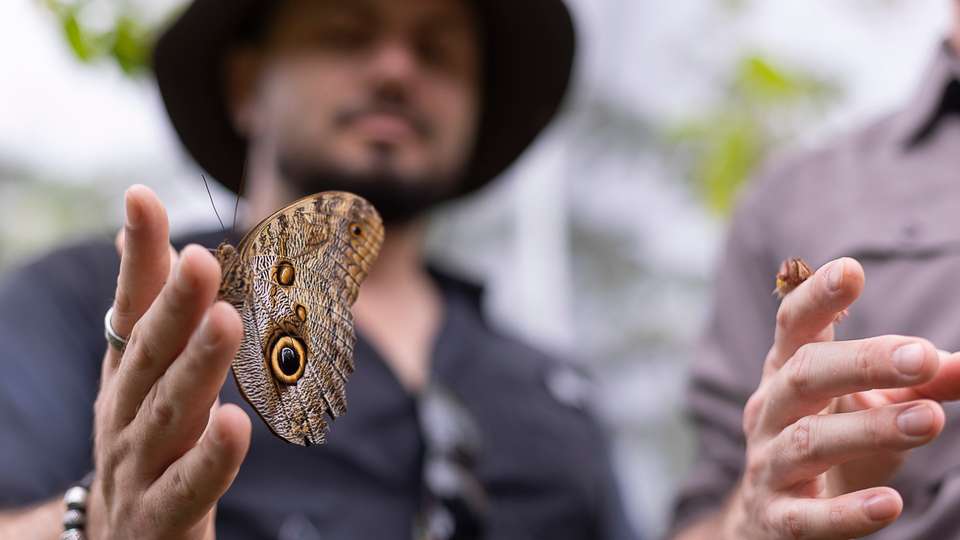 Signature Costa Rica | Where the Wild Answers - Exodus Adventure Travels - Costa Rica - Image 9