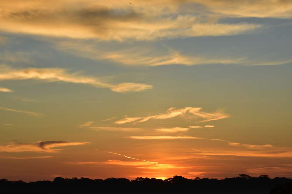Signature Costa Rica | Where the Wild Answers - Exodus Adventure Travels - Costa Rica - Image 3