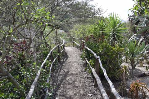 Signature: Ecuador's Amazon Rainforest & Andean Highlands - 7 Days