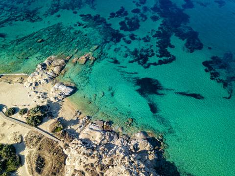 Signature Greece | Songs Of The Lyre - October 2026