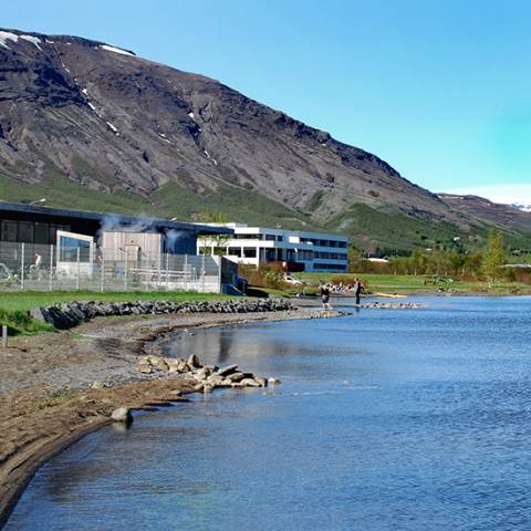 Iceland Group Tours: Signature: Iceland's Winterscapes, Golden Circle & Northern Lights