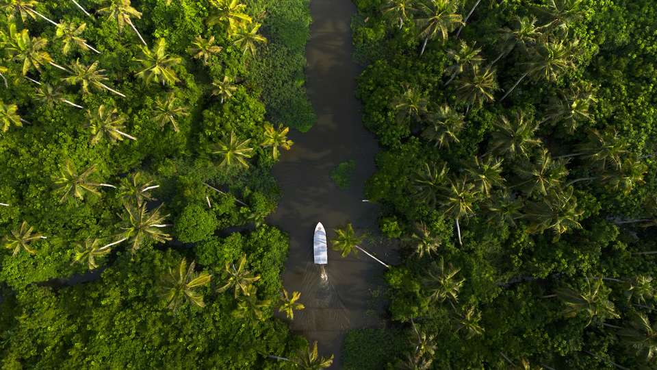 Signature India | Between Spices & Backwaters - Exodus Adventure Travels - India - Image 17