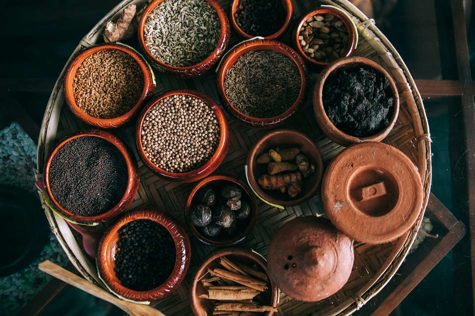 Signature India | Between Spices & Backwaters - Exodus Adventure Travels - India - Image 15