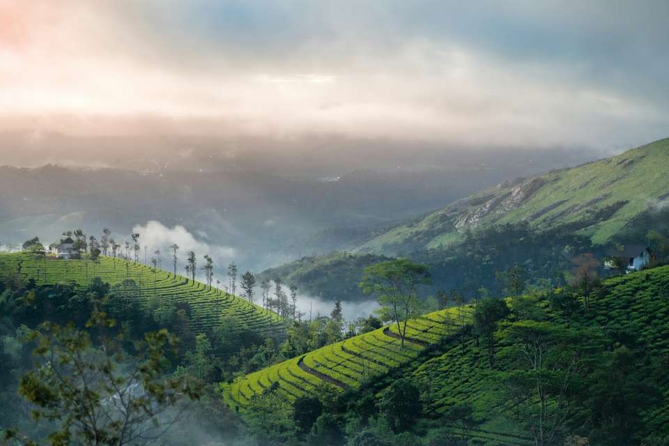 Signature India | Between Spices & Backwaters - Exodus Adventure Travels - India - Image 12