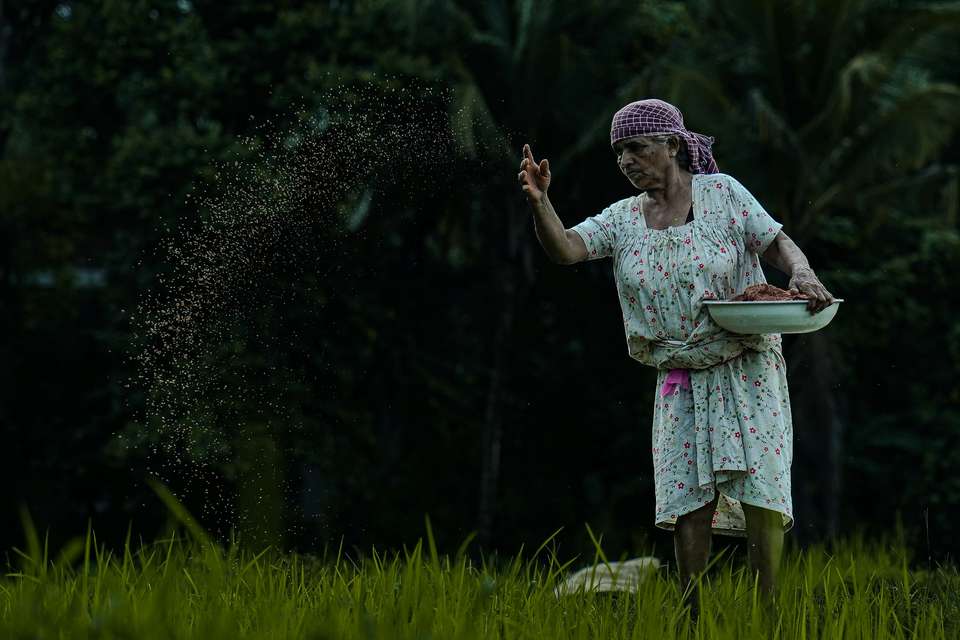 Signature India | Between Spices & Backwaters - Exodus Adventure Travels - India - Image 11