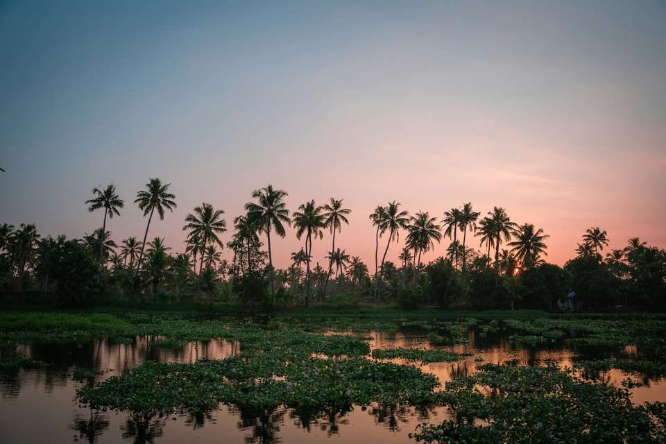Signature India | Between Spices & Backwaters - Exodus Adventure Travels - India - Image 9