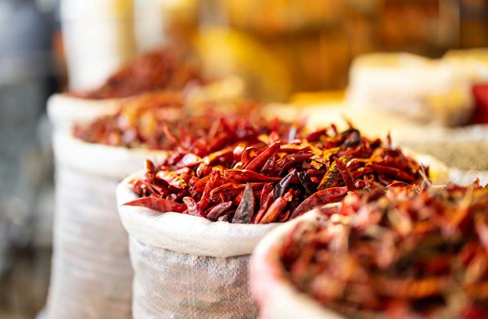 Signature India | Between Spices & Backwaters - Exodus Adventure Travels - India - Image 7