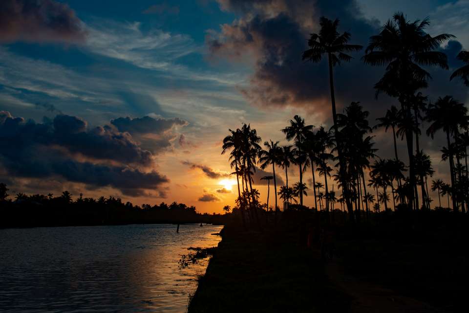 Signature India | Between Spices & Backwaters - Exodus Adventure Travels - India - Image 5