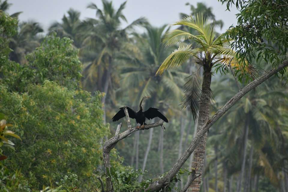 Signature India | Between Spices & Backwaters - Exodus Adventure Travels - India - Image 3