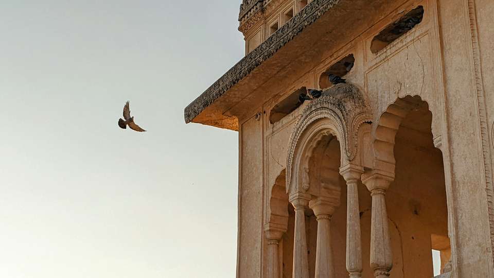 Signature India | The Realm of Royals - Exodus Adventure Travels - India - Image 10