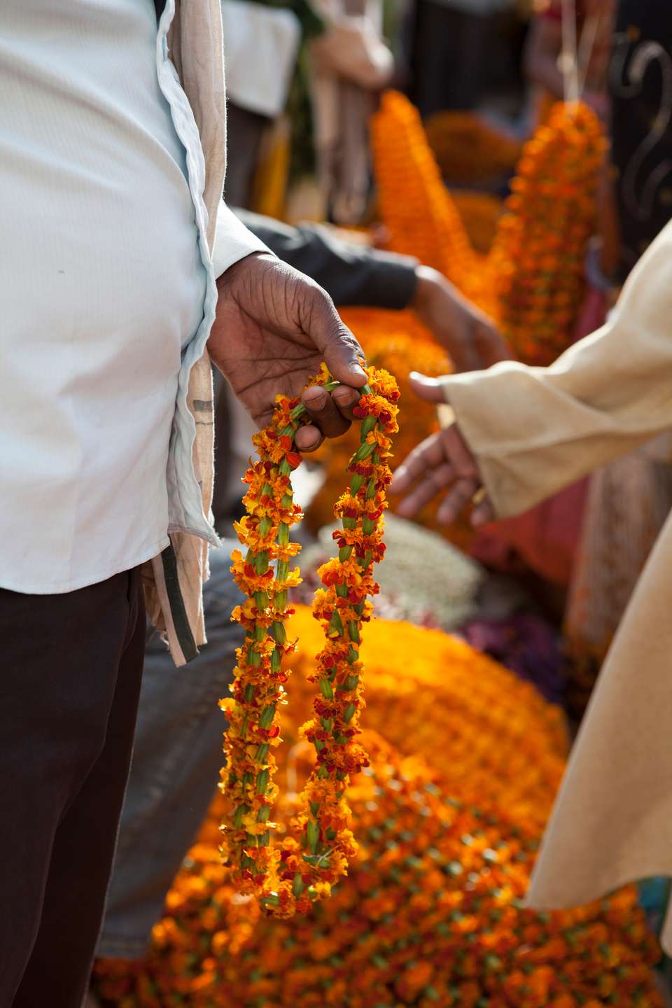 Signature India | The Realm of Royals - Exodus Adventure Travels - India - Image 12